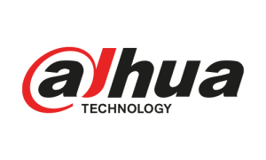 dahua