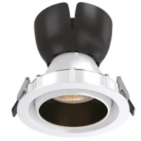 ai downlight